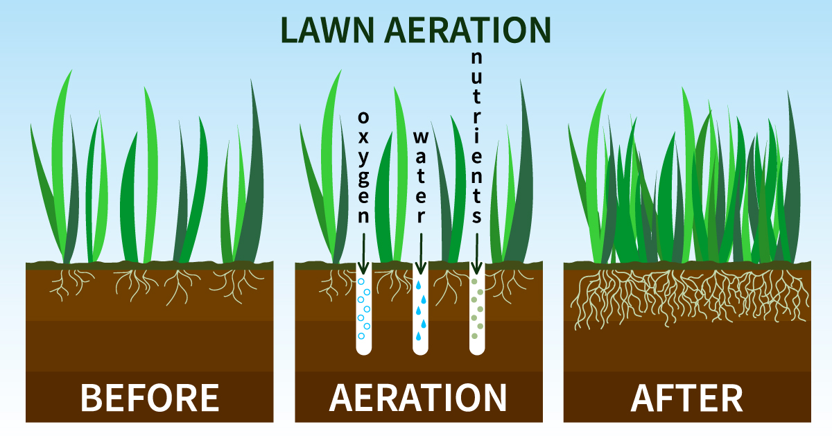 Benefits of Aerating Soil in Your Garden