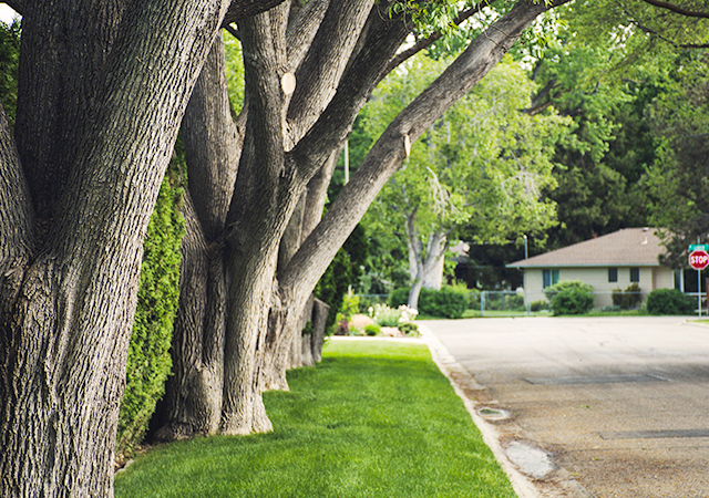 Yearly Maintenance Agreements: The Key to a Beautiful and Stress-Free Lawn