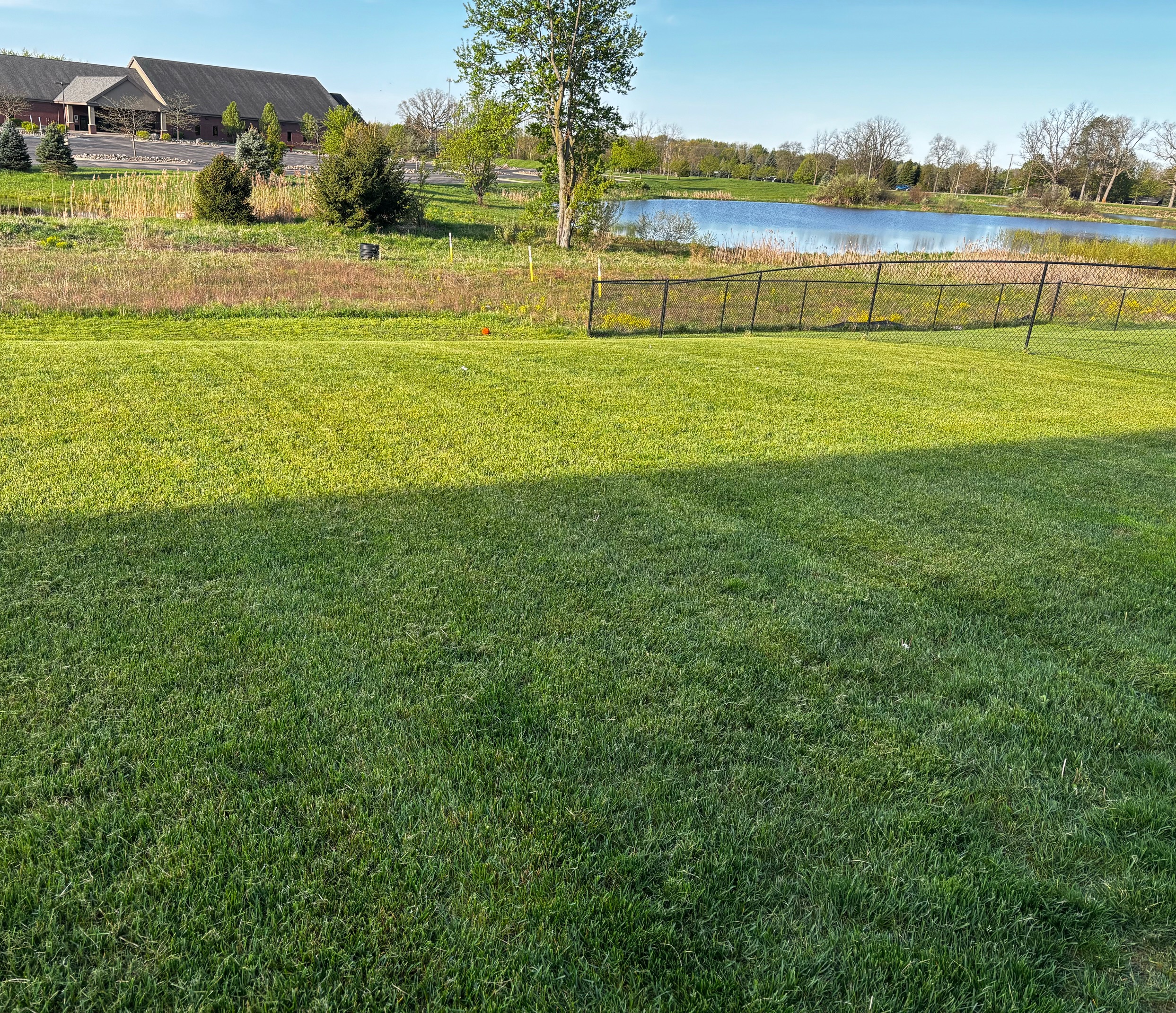 Why Properly Fertilizing Your Lawn Matters